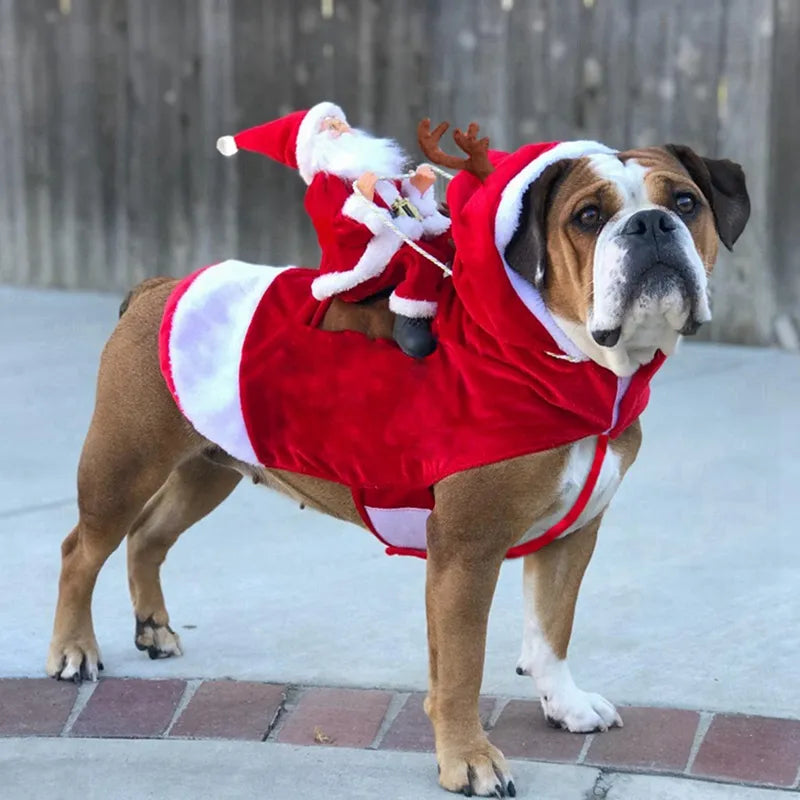 Christmas Dog Costume - Santa Claus Riding a Reindeer