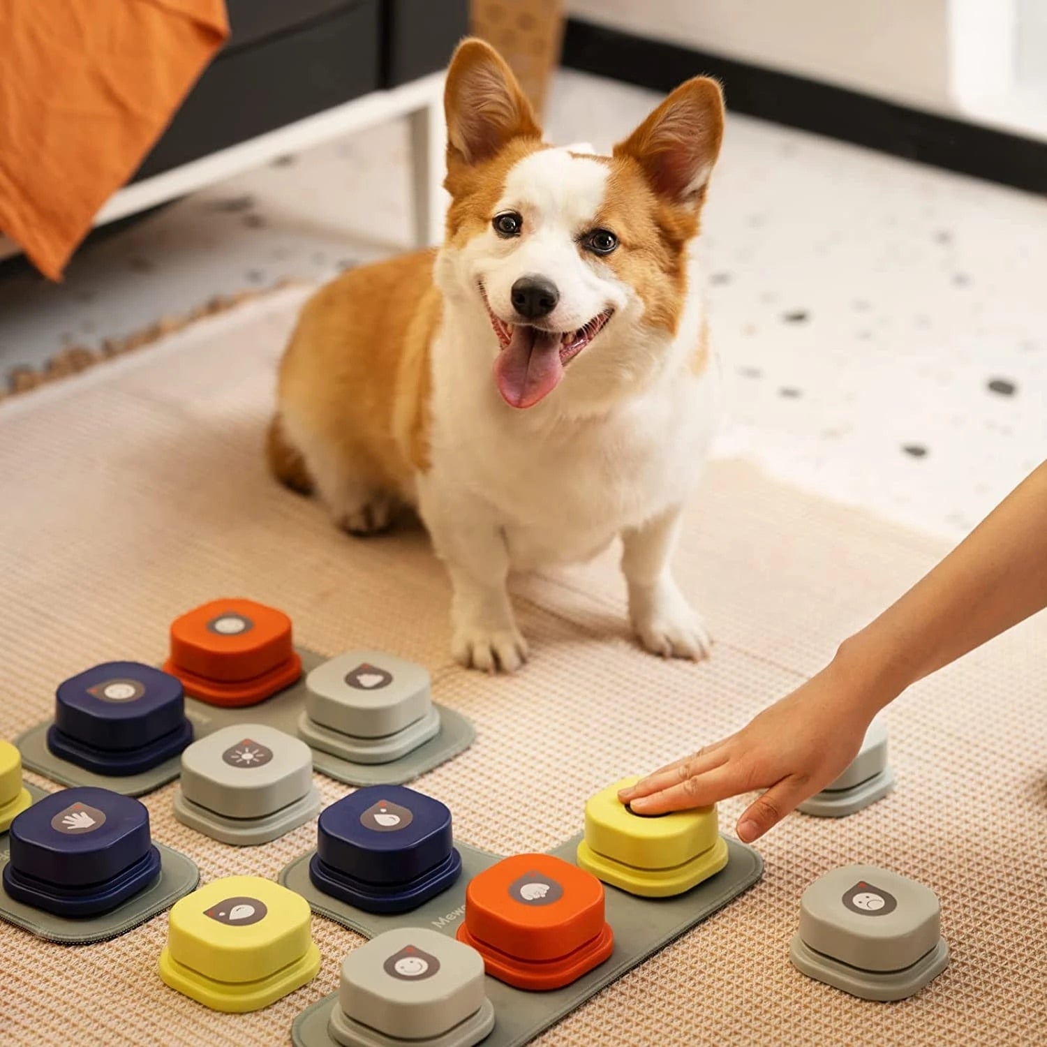 Interactive Pet Vocal Buttons